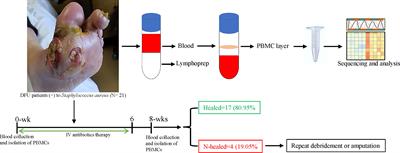 Transcriptomic identification of genes expressed in invasive S. aureus diabetic foot ulcer infection